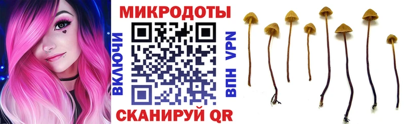 omg вход  Циолковский  Галлюциногенные грибы Psilocybe 